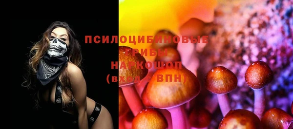 мет Коряжма