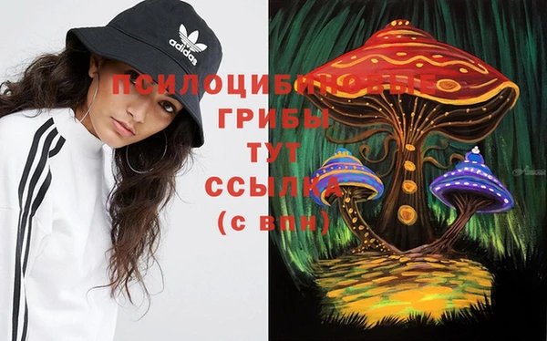 мет Коряжма