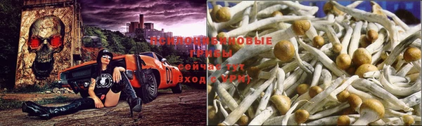 мет Коряжма