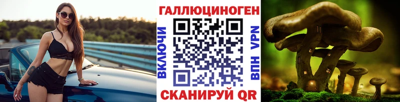 Купить закладки  Ахтубинск  Псилоцибиновые грибы мицелий 