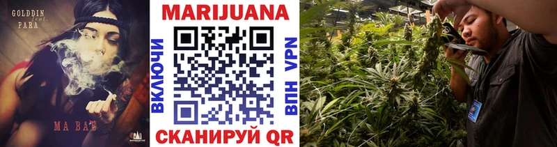 Купить  Ахтубинск  Канабис конопля 